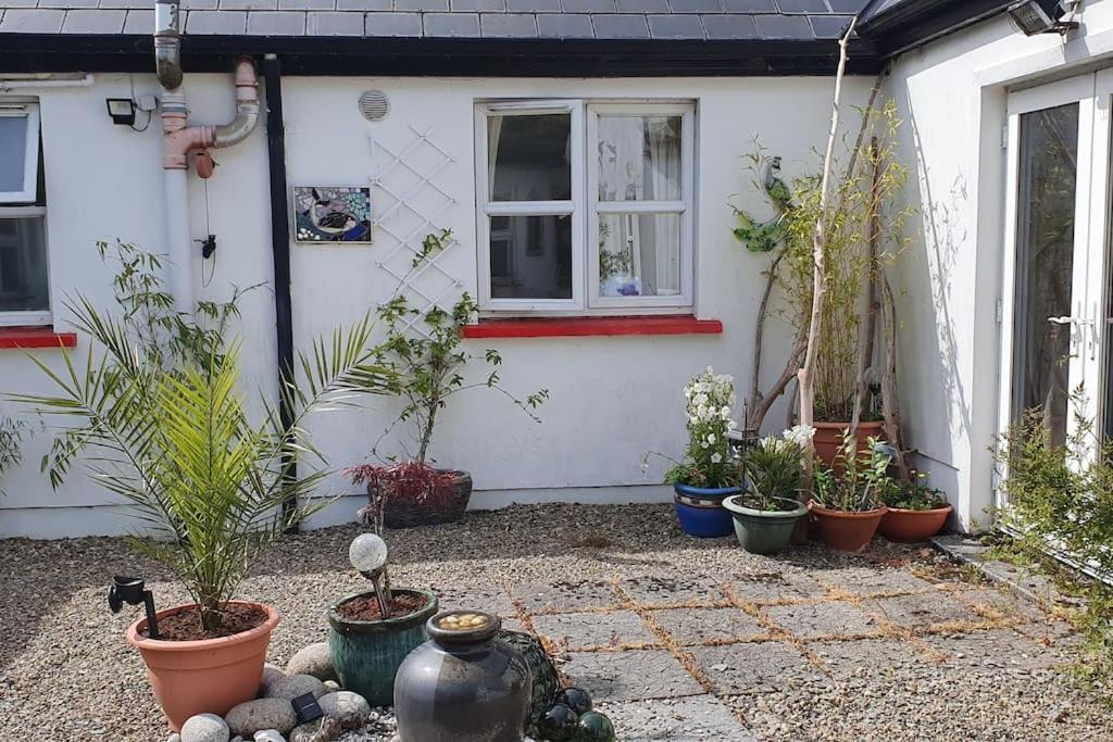 Cosy Self Contained Cottage With Stunning Views Killaloe Eksteriør billede